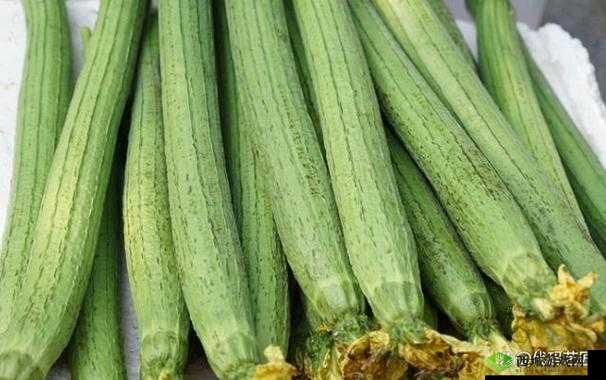 草莓香蕉榴莲丝瓜十八岁可以吃吗：食品选择与健康