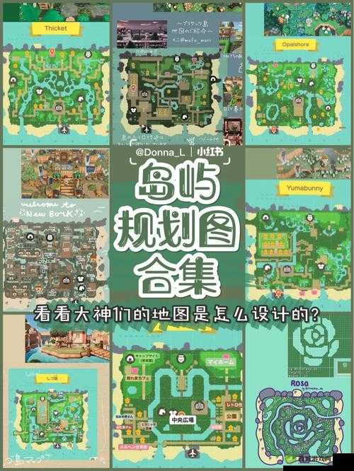 全民岛主深度攻略，全面解析好友管理与岛屿探索的实用指南
