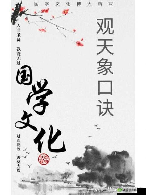 楚留香每日打坐秘境全揭秘，坐观天象，领悟武学至高奥秘