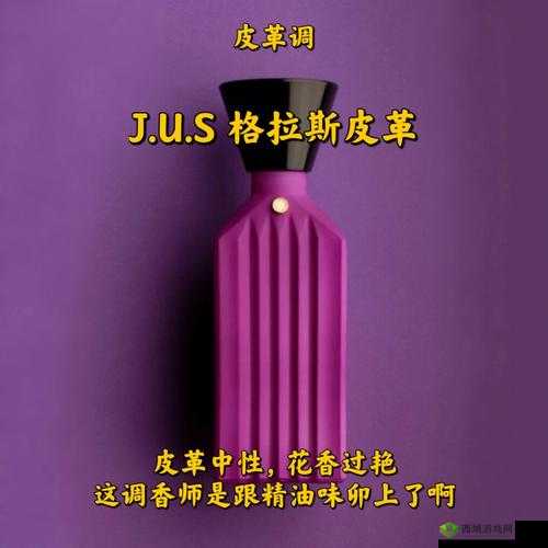 地球末日生存挑战，解锁皮革制作高级秘籍，制皮台成为生存关键工具
