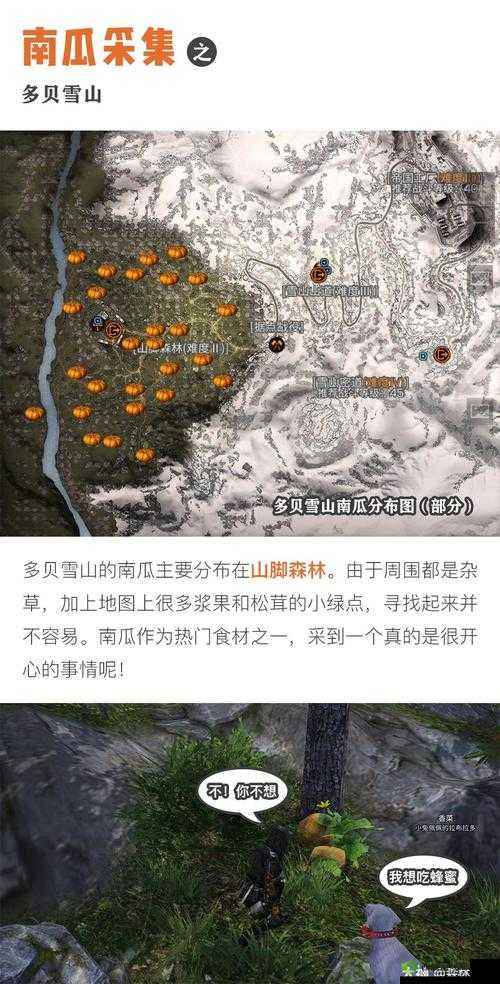 明日之后深度探索，多贝雪山全方位探险攻略与生存指南