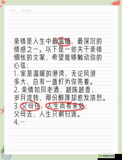乱炖大家庭：聚合亲情的温暖港湾