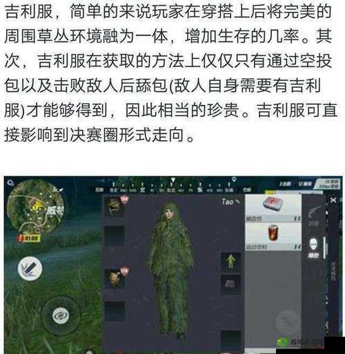 终结者2审判日深度攻略，全面揭秘吉利服的获取方法与技巧