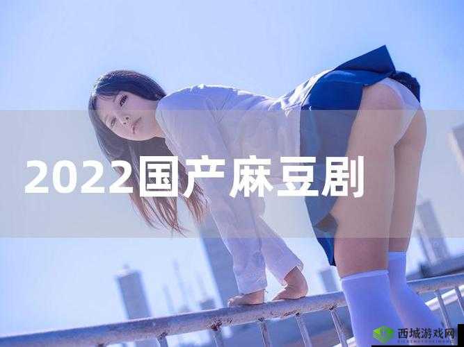 国产精品秘麻豆果冻传媒的优缺点及相关探讨
