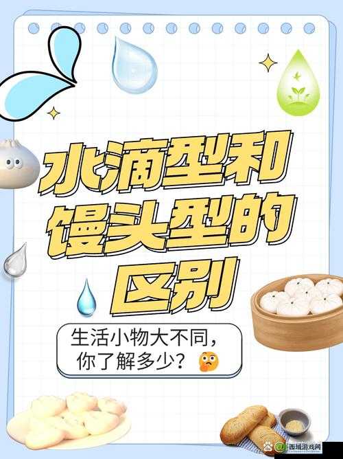 水滴型和馒头型的区别：形状特点及适用场景解析