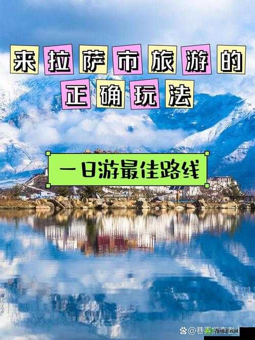 悠悠藏姬阁导航——探索神秘西藏，感受独特风情