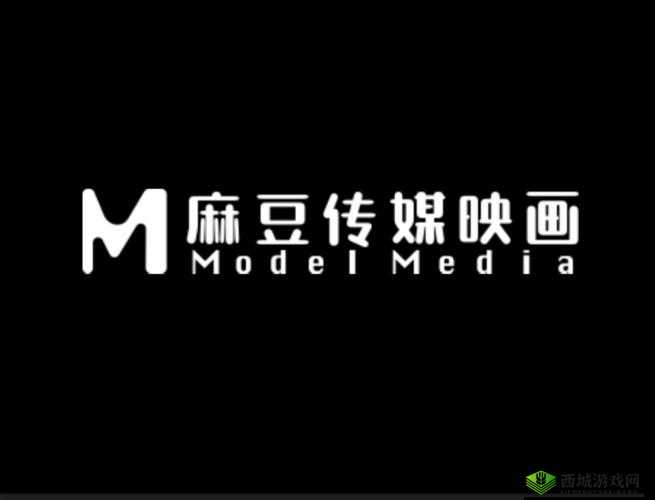 麻豆传播媒体网站：优质内容平台引领风尚