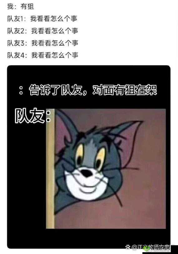 深入剖析，光荣使命游戏中队友类型的多样性与特点盘点