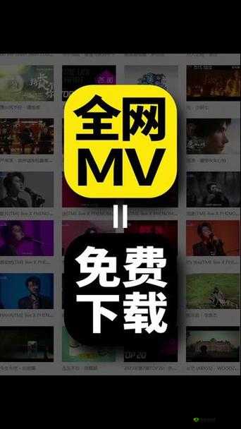有哪些免费观看 MV 大片高清的网站？